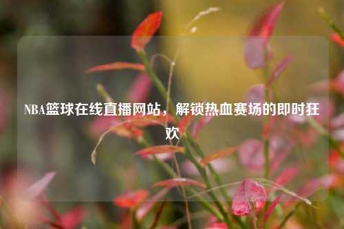 NBA篮球在线直播网站,解锁热血赛场的即时狂欢