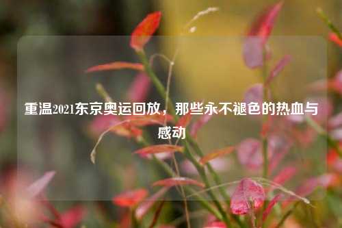 重温2021东京奥运回放，那些永不褪色的热血与感动