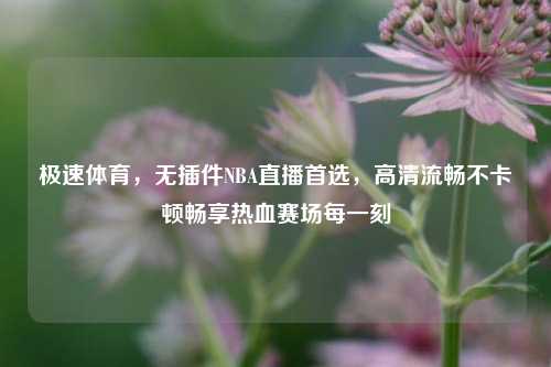 极速体育，无插件NBA直播首选，高清流畅不卡顿畅享热血赛场每一刻