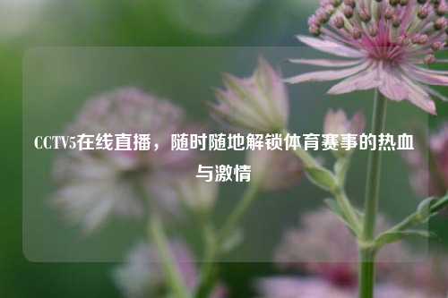 CCTV5在线直播，随时随地解锁体育赛事的热血与激情
