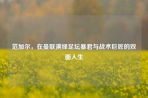 范加尔,在曼联演绎足坛暴君与战术巨匠的双面人生