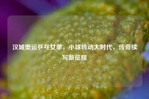 汉城奥运乒乓女单,小球转动大时代,传奇续写新征程
