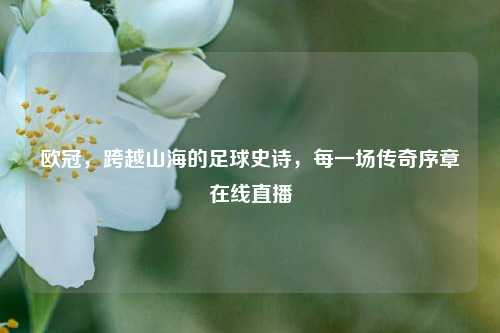 欧冠,跨越山海的足球史诗,每一场传奇序章在线直播