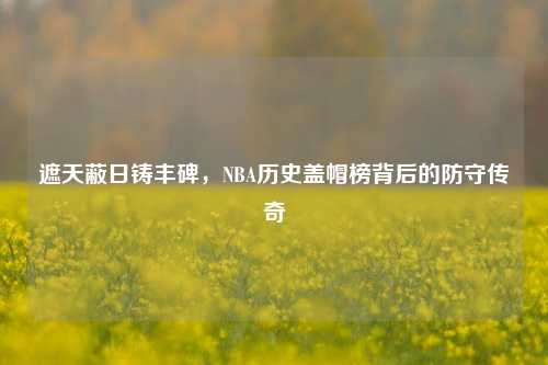 遮天蔽日铸丰碑,NBA历史盖帽榜背后的防守传奇
