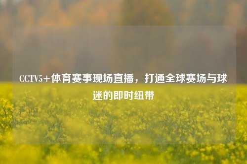 CCTV5+体育赛事现场直播,打通全球赛场与球迷的即时纽带
