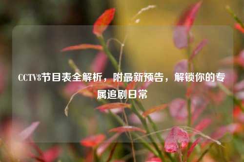CCTV8节目表全解析，附最新预告，解锁你的专属追剧日常