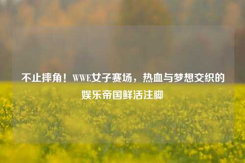 不止摔角!WWE女子赛场,热血与梦想交织的娱乐帝国鲜活注脚