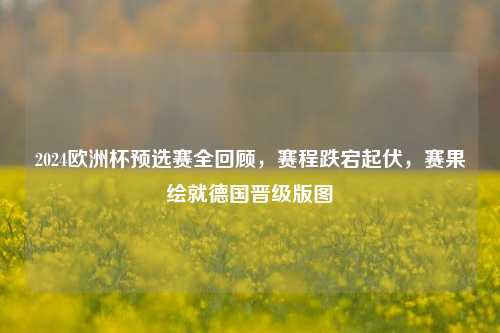 2024欧洲杯预选赛全回顾，赛程跌宕起伏，赛果绘就德国晋级版图