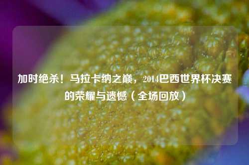 加时绝杀!马拉卡纳之巅,2014巴西世界杯决赛的荣耀与遗憾(全场回放)