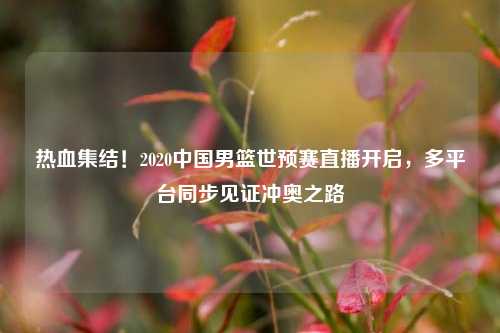 热血集结!2020中国男篮世预赛直播开启,多平台同步见证冲奥之路