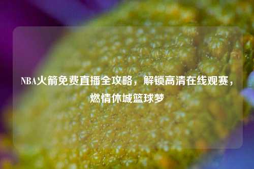 NBA火箭免费直播全攻略，解锁高清在线观赛，燃情休城篮球梦