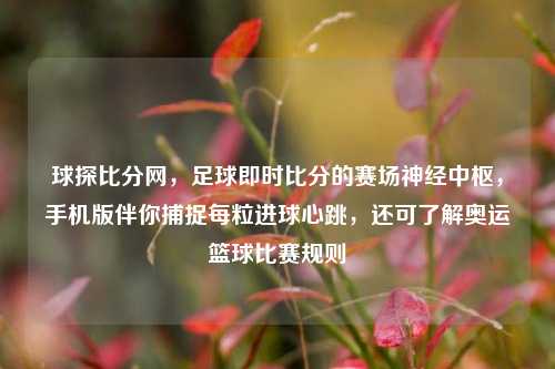 球探比分网,足球即时比分的赛场神经中枢,手机版伴你捕捉每粒进球心跳,还可了解奥运篮球比赛规则