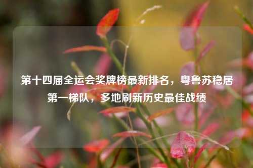 第十四届全运会奖牌榜最新排名,粤鲁苏稳居第一梯队,多地刷新历史最佳战绩