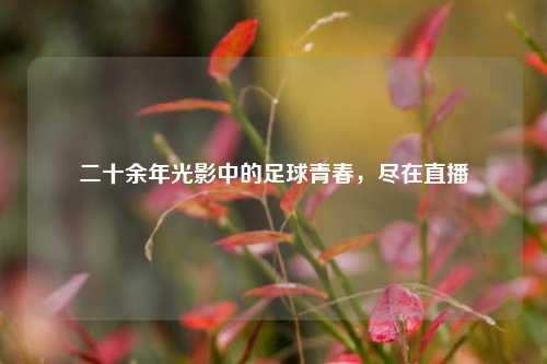 二十余年光影中的足球青春,尽在直播