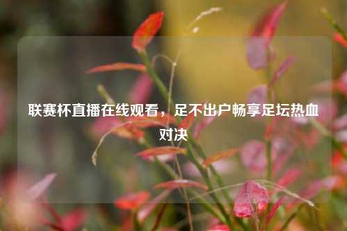 联赛杯直播在线观看，足不出户畅享足坛热血对决