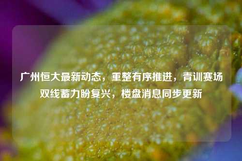 广州恒大最新动态，重整有序推进，青训赛场双线蓄力盼复兴，楼盘消息同步更新