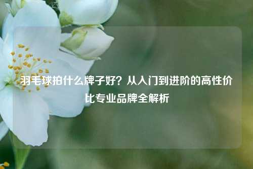 羽毛球拍什么牌子好?从入门到进阶的高性价比专业品牌全解析
