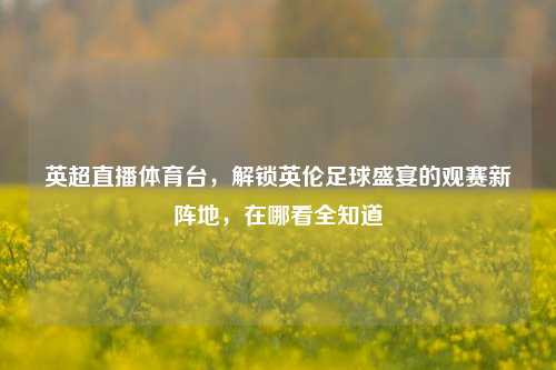 英超直播体育台，解锁英伦足球盛宴的观赛新阵地，在哪看全知道