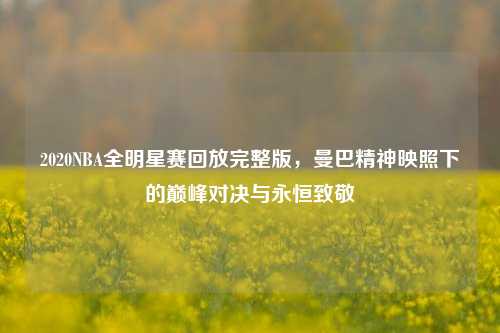 2020NBA全明星赛回放完整版，曼巴精神映照下的巅峰对决与永恒致敬