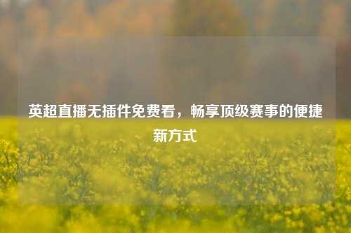 英超直播无插件免费看,畅享顶级赛事的便捷新方式