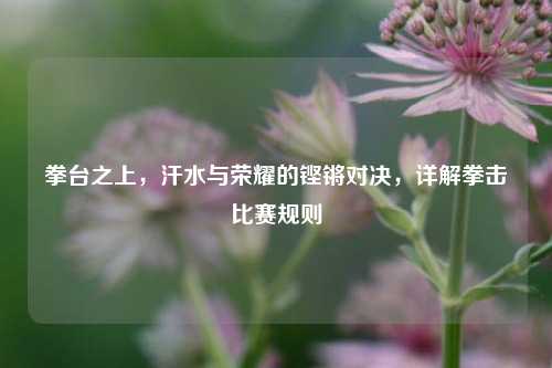 拳台之上,汗水与荣耀的铿锵对决,详解拳击比赛规则