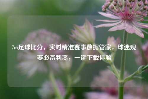 7m足球比分,实时精准赛事数据管家,球迷观赛必备利器,一键下载体验