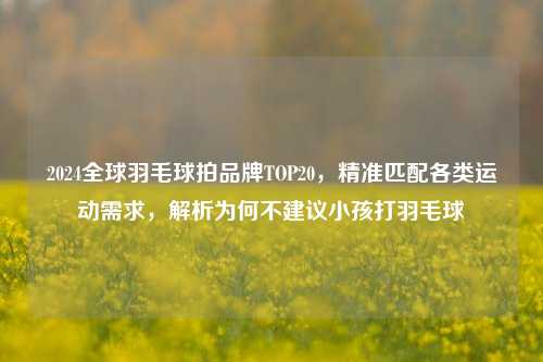 2024全球羽毛球拍品牌TOP20,精准匹配各类运动需求,解析为何不建议小孩打羽毛球