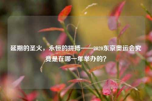 延期的圣火，永恒的拼搏——2020东京奥运会究竟是在哪一年举办的？