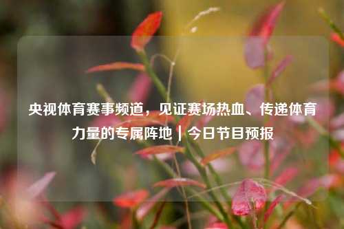 央视体育赛事频道,见证赛场热血、传递体育力量的专属阵地|今日节目预报