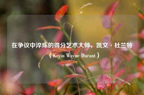 在争议中淬炼的得分艺术大师,凯文·杜兰特(Kevin Wayne Durant)