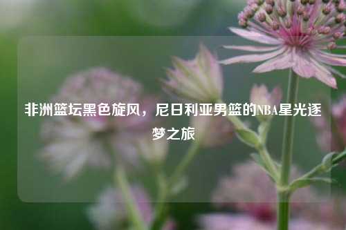 非洲篮坛黑色旋风,尼日利亚男篮的NBA星光逐梦之旅