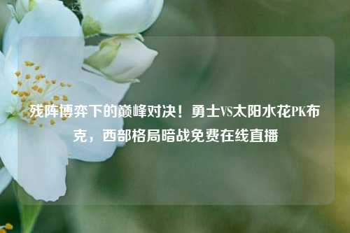 残阵博弈下的巅峰对决！勇士VS太阳水花PK布克，西部格局暗战免费在线直播