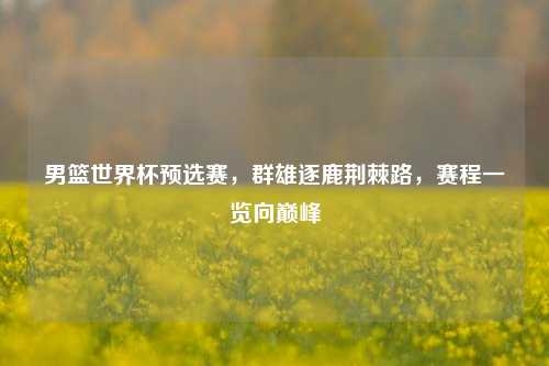 男篮世界杯预选赛,群雄逐鹿荆棘路,赛程一览向巅峰