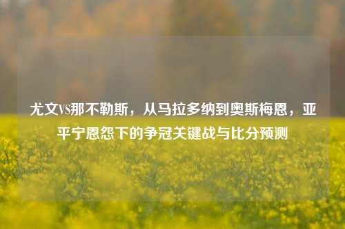 尤文VS那不勒斯，从马拉多纳到奥斯梅恩，亚平宁恩怨下的争冠关键战与比分预测