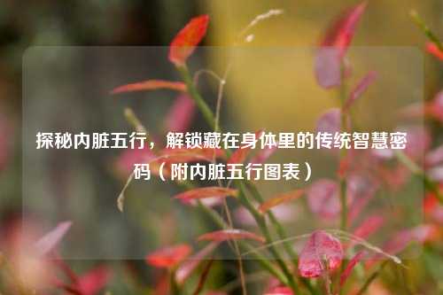 探秘内脏五行,解锁藏在身体里的传统智慧密码(附内脏五行图表)