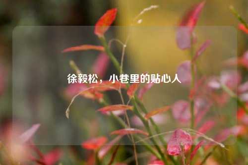 徐毅松,小巷里的贴心人