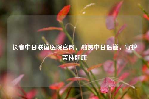 长春中日联谊医院官网,融贯中日医道,守护吉林健康