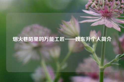烟火巷陌里的万能工匠——魏东升个人简介