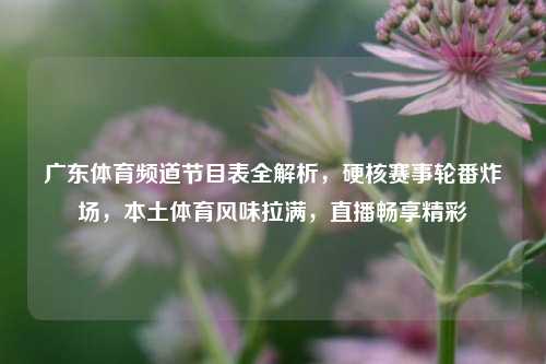 广东体育频道节目表全解析,硬核赛事轮番炸场,本土体育风味拉满,直播畅享精彩