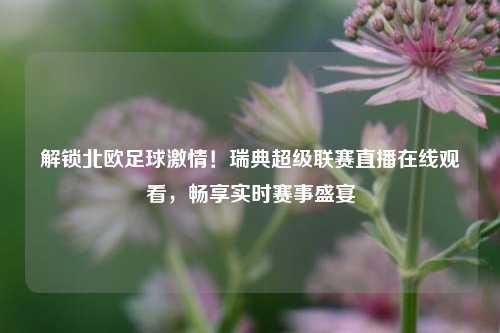 解锁北欧足球激情！瑞典超级联赛直播在线观看，畅享实时赛事盛宴