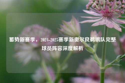 蓄势新赛季,2024-2025赛季新奥尔良鹈鹕队完整球员阵容深度解析