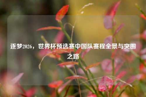 逐梦2026,世界杯预选赛中国队赛程全景与突围之路