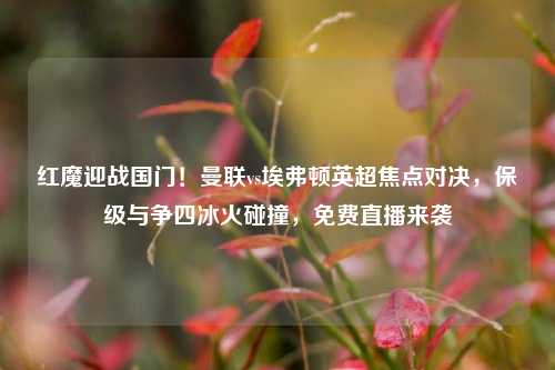红魔迎战国门！曼联vs埃弗顿英超焦点对决，保级与争四冰火碰撞，免费直播来袭