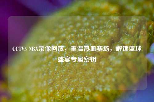 CCTV5 NBA录像回放,重温热血赛场,解锁篮球盛宴专属密钥