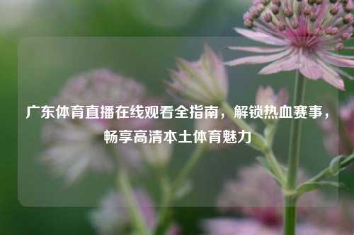广东体育直播在线观看全指南，解锁热血赛事，畅享高清本土体育魅力