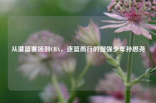 从灌篮赛场到CBA,逐篮而行的倔强少年孙思尧