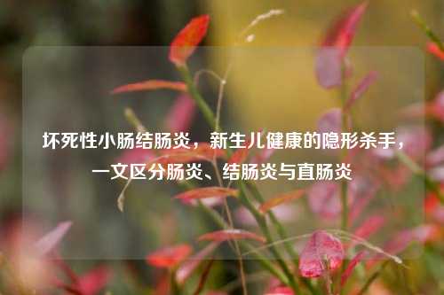 坏死性小肠结肠炎，新生儿健康的隐形杀手，一文区分肠炎、结肠炎与直肠炎