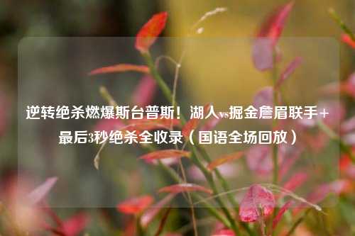 逆转绝杀燃爆斯台普斯!湖人vs掘金詹眉联手+最后3秒绝杀全收录(国语全场回放)