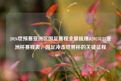 2026世预赛亚洲区国足赛程全景梳理&2025U23亚洲杯赛程表,国足冲击世界杯的关键征程