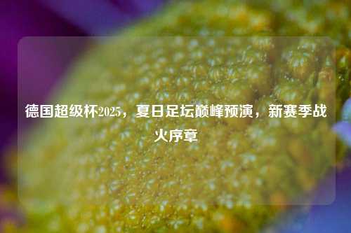 德国超级杯2025,夏日足坛巅峰预演,新赛季战火序章